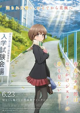 BD高清免费观看