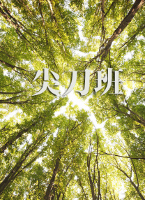 HD免费在线播放