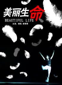 BD高清免费观看