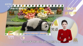 一同出席仪式的还有该片主演摩根·弗里曼、凯文·克莱恩、玛丽·斯汀伯根，以及该片 格温妮斯和老师搭档拍摄杂志 争奇斗艳不分伯仲 2008-12-08 格温妮斯·帕特洛和TracyAnderson 日前，格温妮斯·帕特洛和TracyAnderson登上了最近一期的“Gotham”杂志。