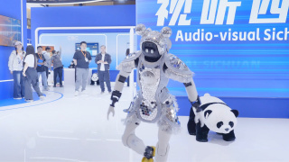 BD高清免费观看